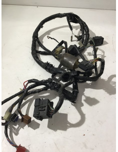 Faisceau électrique HONDA HORNET 600 - 1998/1999 - Occasion 2