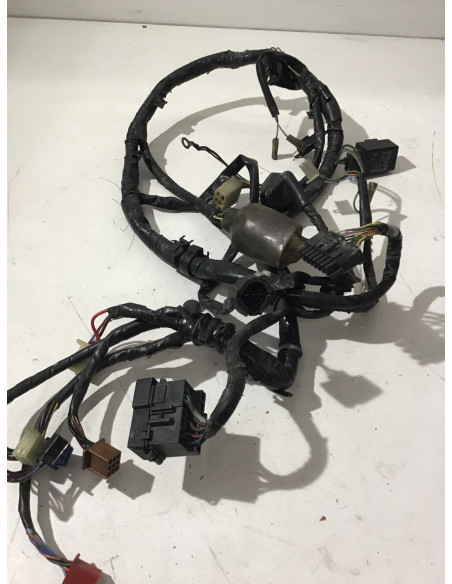 Faisceau électrique HONDA HORNET 600 - 1998/1999