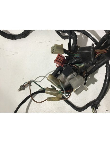 Faisceau électrique HONDA CB BOL D OR 900 - 1979/1980