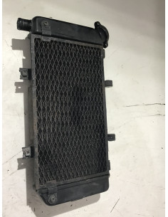 Radiateur d'eau YAMAHA TDM 900 - 2002/2014 - Occasion