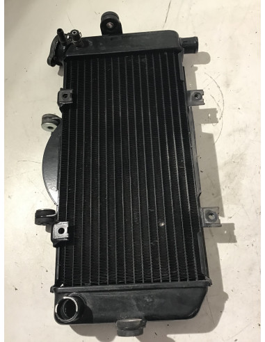 Radiateur d'eau YAMAHA TDM 900 - 2002/2014 -