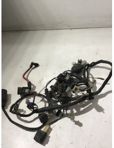 Faisceau électrique YAMAHA TDR 125 - 1993/2002 - Occasion