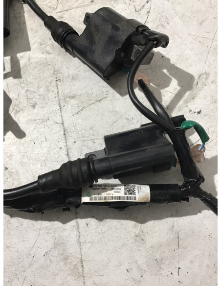 Bobine d'allumage (jeu) HONDA AFRICA TWIN 1100 CRF - 2020/2024 -
