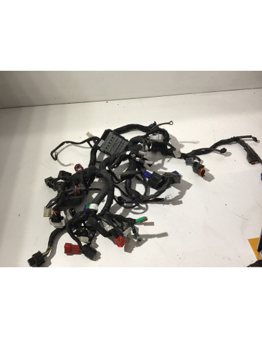 Faisceau électrique KTM DUKE 125 - 2017/2020 - 108358 Occasion