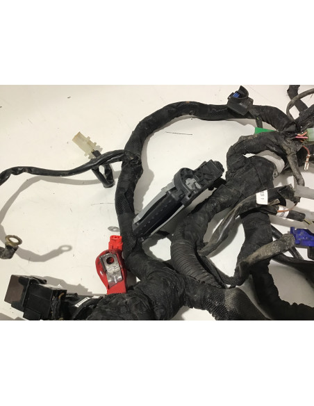 Faisceau électrique KTM DUKE 125 - 2017/2020 - 108358