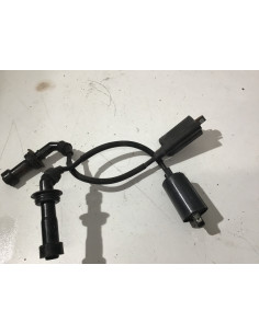 Bobine d'allumage (paire) YAMAHA TDM 850 - 1996/2002 - Occasion