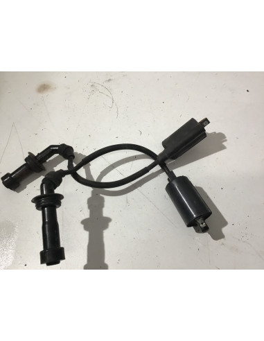 Bobine d'allumage (paire) YAMAHA TDM 850 - 1996/2002 - Occasion