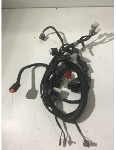 Faisceau électrique YAMAHA YBR 125 - 2010 - 3D9-H2590-60 Occasion