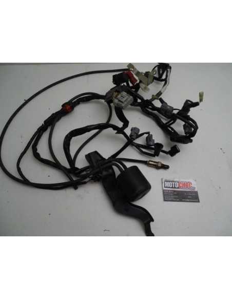 Faisceau électrique HONDA HORNET 600 PC41E - 2011