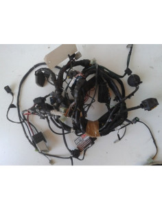 Faisceau électrique PEUGEOT SATELIS 125